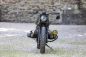Preview: BMW Bobber SE Concept Bike Wolf Edition #2