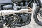 Preview: Triumph Scrambler umbau