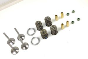 BMW R80 R100 Zylinderkopfüberholung Ventilschaftdichtungen Twinshock- und Monolevermodelle Bleifreiumbau