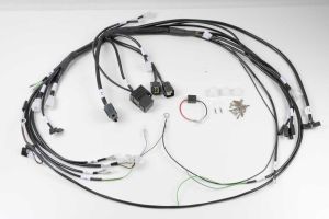BMW R45 R65 R65 R80 R100 2-valve wiring harness ready configured for Acewell 4453