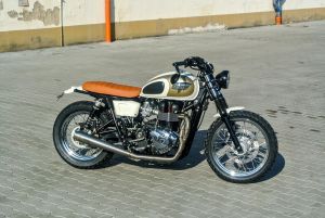 Triumph bonneville umbau