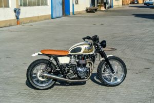 Triumph bonneville umbau