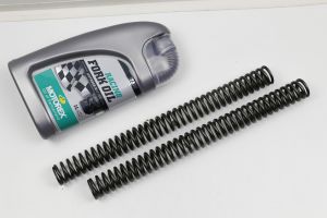 BMW R80R R100R Paralever Gabelfedern Kit für 41mm Gabeln