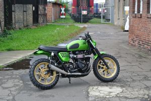 Triumph scrambler customizing