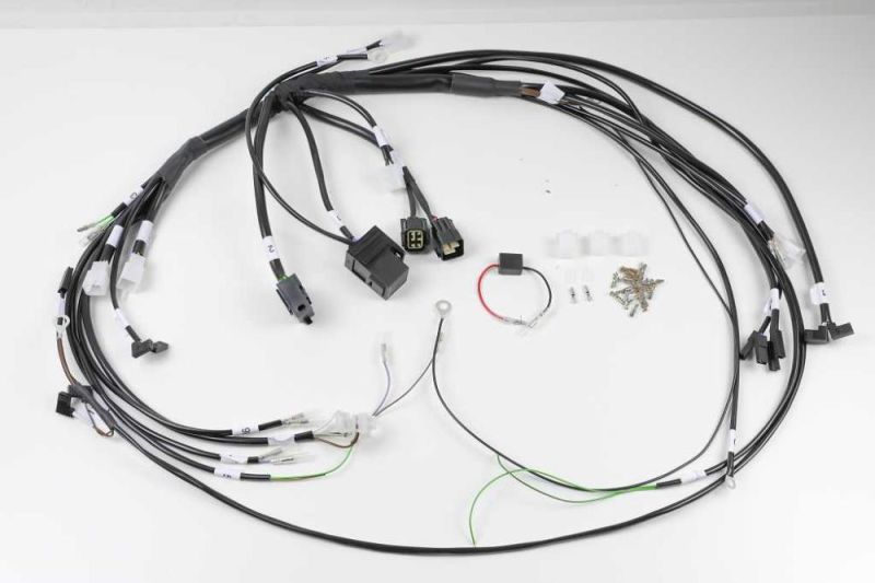 BMW R45 R65 R65 R80 R100 2-valve wiring harness ready configured for Acewell 4453