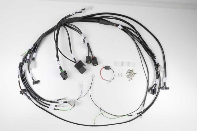 BMW R45 R65 R65 R80 R100 2-valve wiring harness ready configured for Acewell 4453