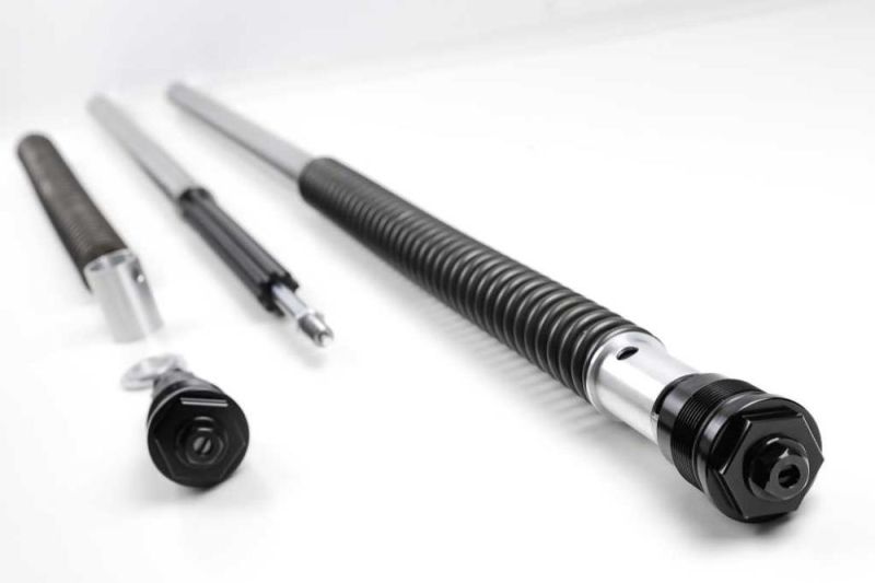 BMW R80 R100GS Gabel-Dämpfungssystem für Paralever Modelle