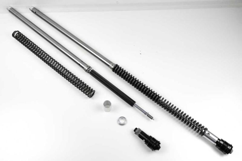 BMW R80GS R100GS Paralever Dämpfungssystem für 40mm Gabeln