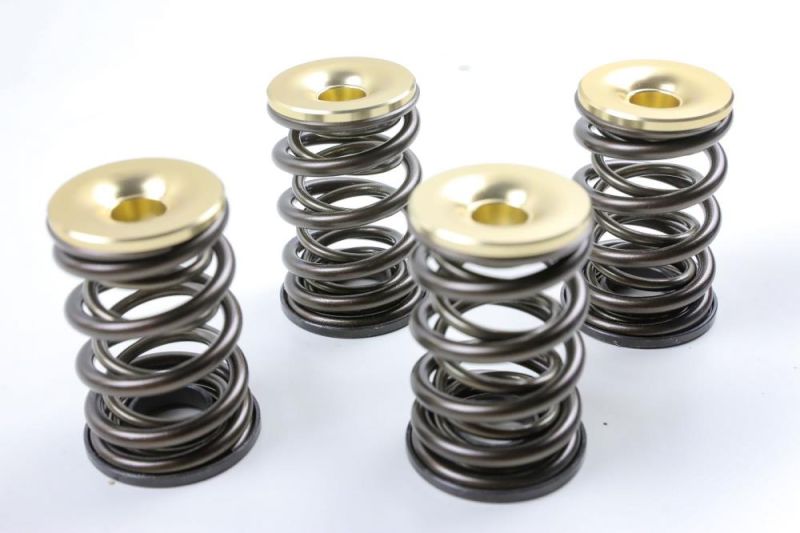 BMW 2-Valve high-performance valve springs for 7mm shafts